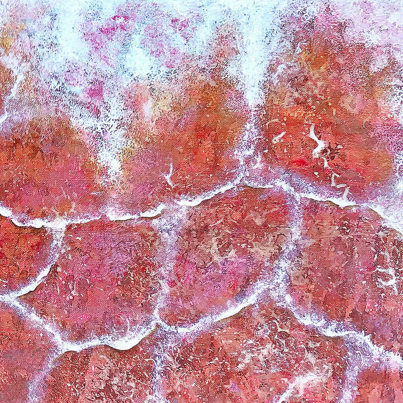 Framed Abstract Art Pink Salt Formations