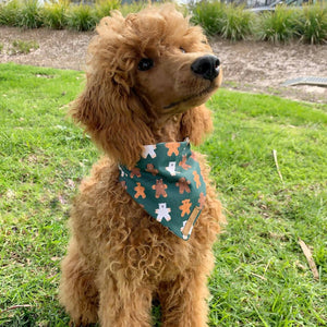 Gingerbread Furiends - Dog Bandana