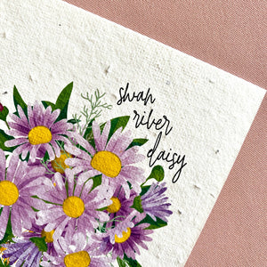 ANY OCCASION DAISY Plantacard?Grow me into Swan River Daisies