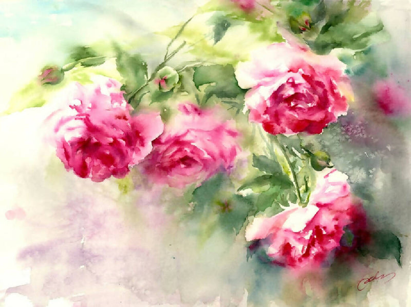 Red roses, Prints, Watercolor print, Watercolor flowers, Botanical print, Watercolour painting, floral art