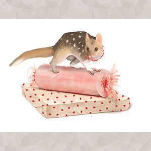 Quoll Christmas Card