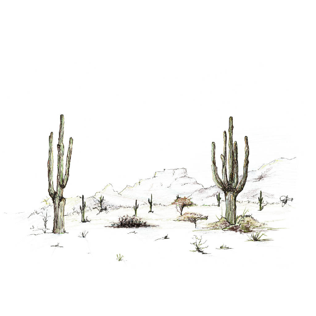 'Desert Scene' Limited Edition Art Print