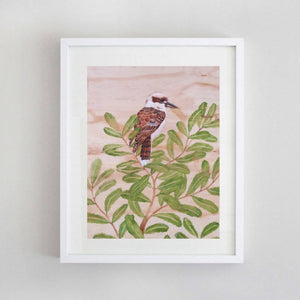 LS P1 Kookaburra On Banksia - Limited Edition Fine Art Print
