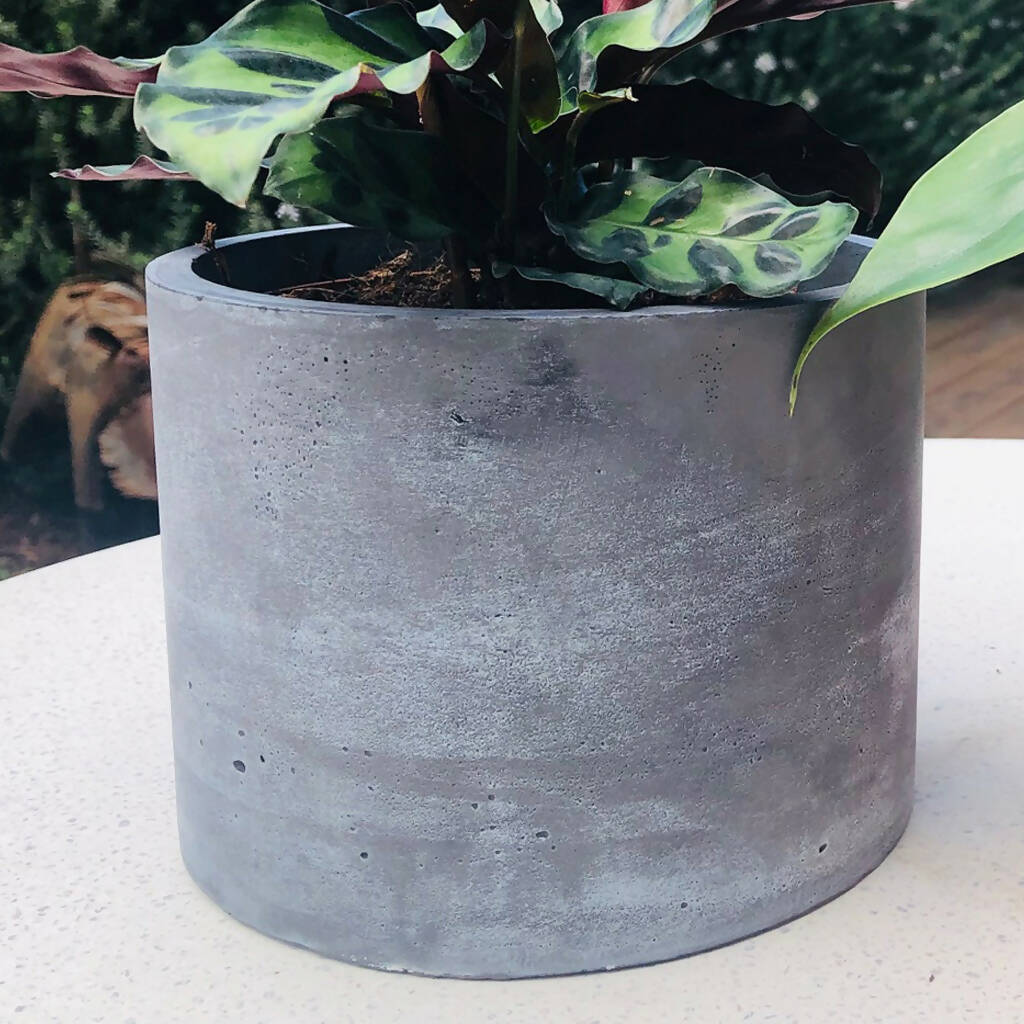 Concrete plant pot - plain colour