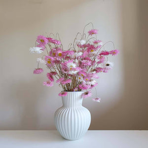 The Favourite - Dried Flower Arrangement - Melbourne Delivery Only