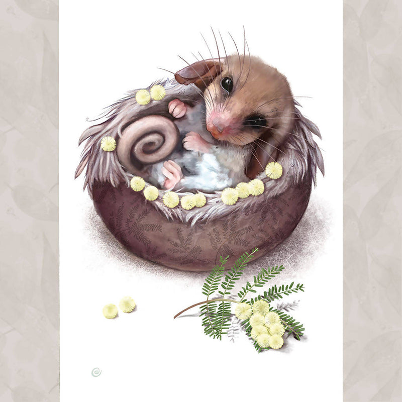 Pygmy-Possum Greeting Card