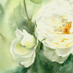 White roses, Prints, Watercolor print, Watercolor flowers, Botanical print, Watercolour painting, floral art